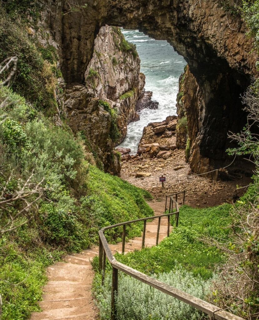 Foto 4 Madeira - Prestige Properties